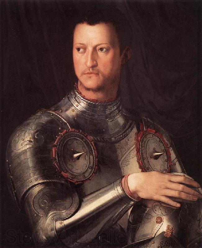 BRONZINO, Agnolo Cosimo I de  Medici in Armour Spain oil painting art